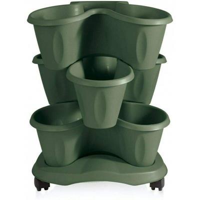 VASO TRIFOGLIO SET 3PZ CON SOTTOVASO VERDE